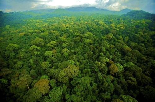 環境污染之環境檢測對數據中心的重要性 環境污染之環境檢測對數據中心的重要性