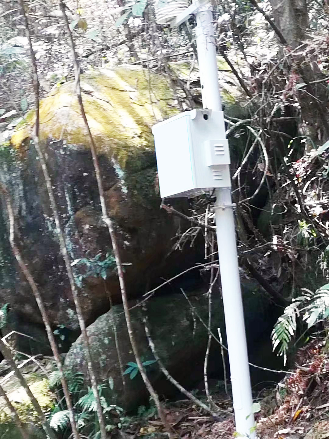 景區(qū)環(huán)境監(jiān)測站負氧離子遠程監(jiān)測系統(tǒng)設備