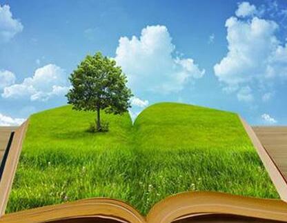 如何建立完善的環境監測體系，我們應該做什么？