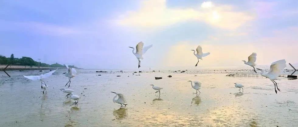 深圳市市生態(tài)環(huán)境保護委員會第一次會議召開 深圳市市生態(tài)環(huán)境保護委員會第一次會議召開