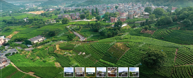 什么智慧茶園? 什么智慧茶園?