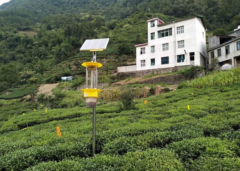 高標(biāo)準(zhǔn)智慧高山茶園解決方案 高標(biāo)準(zhǔn)智慧高山茶園解決方案